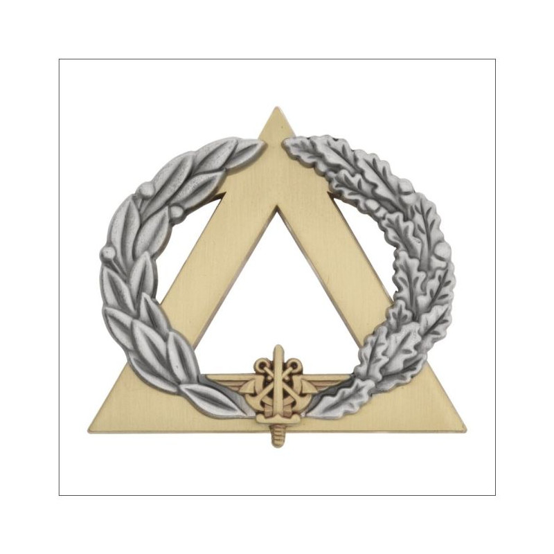 Brevet secouriste Bronze