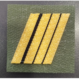 Galon de poitrine Armee de Terre