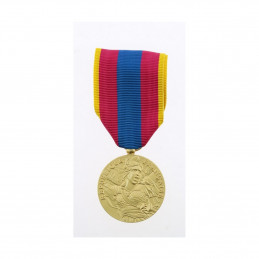 Médaille défense nationale Or