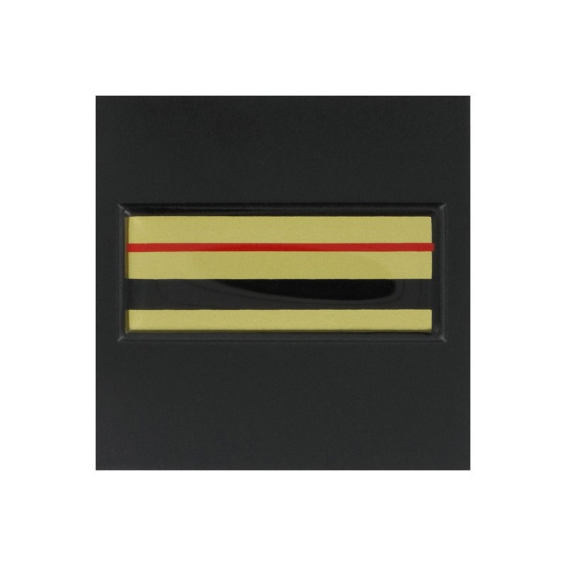 Galon de Poitrine Résine Gendarmerie Mobile Major