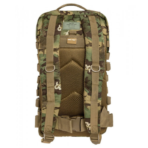 Sac a dos assault ARID 20 litres