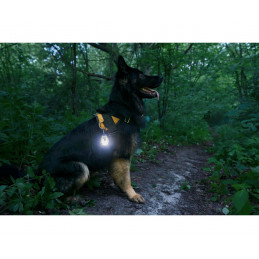 Lampe Tactique Armytek Crystal Pro IR | IR & 4 Couleurs | Camouflage83