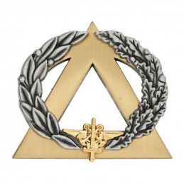 Brevet secouriste Or