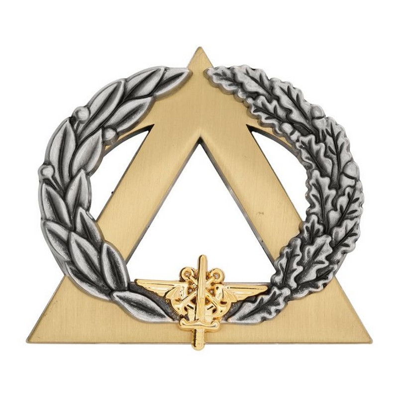 Brevet secouriste Or