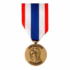 Médaille Protection du territoire