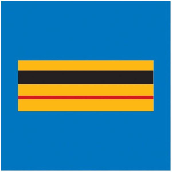 Grade plastifié Police Municipale Brigadier Chef Principal