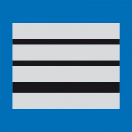 Grade plastifié Police Municipale Directeur Grade plastifié Police Municipale Directeur