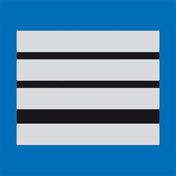 Grade plastifié Police Municipale Directeur