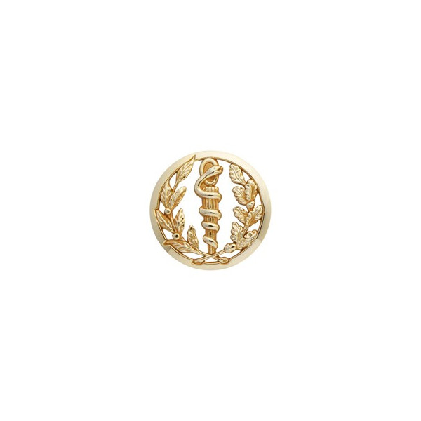 Insigne de béret doré Service de Santé